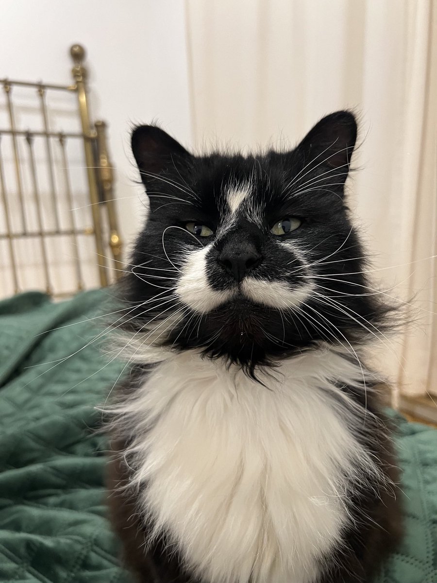 Sarah Evans tweet media