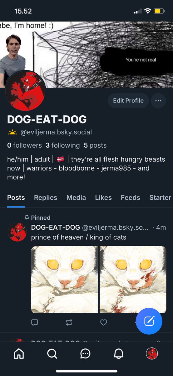 eviljerma tweet picture