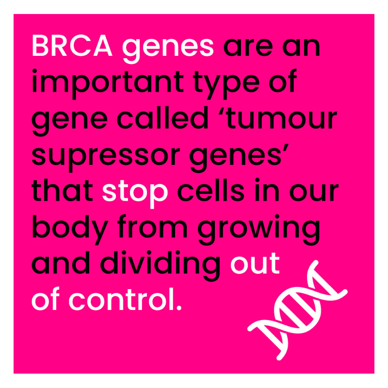CR_UK's tweet photo. Have you heard of BRCA genes? We all have them, but sometimes they can be faulty, which can increase the risk of developing several #Cancer types.

🔁 RT to raise awareness and find out more about this gene family 👇

#CRUKscience #BreastCancerAwarenessMonth