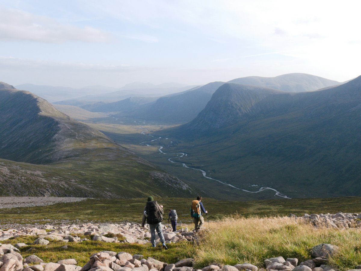 WTTC's tweet image. 🛫🏨 From online travel agencies now displaying the carbon emissions of flights during searches, to hotels shifting away from daily linen changes, businesses are allowing travellers to make decisions around their environmental impact. 

Discover more 👉 bit.ly/3XkqRK2