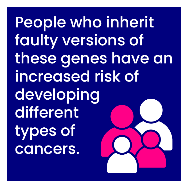 CR_UK's tweet photo. Have you heard of BRCA genes? We all have them, but sometimes they can be faulty, which can increase the risk of developing several #Cancer types.

🔁 RT to raise awareness and find out more about this gene family 👇

#CRUKscience #BreastCancerAwarenessMonth