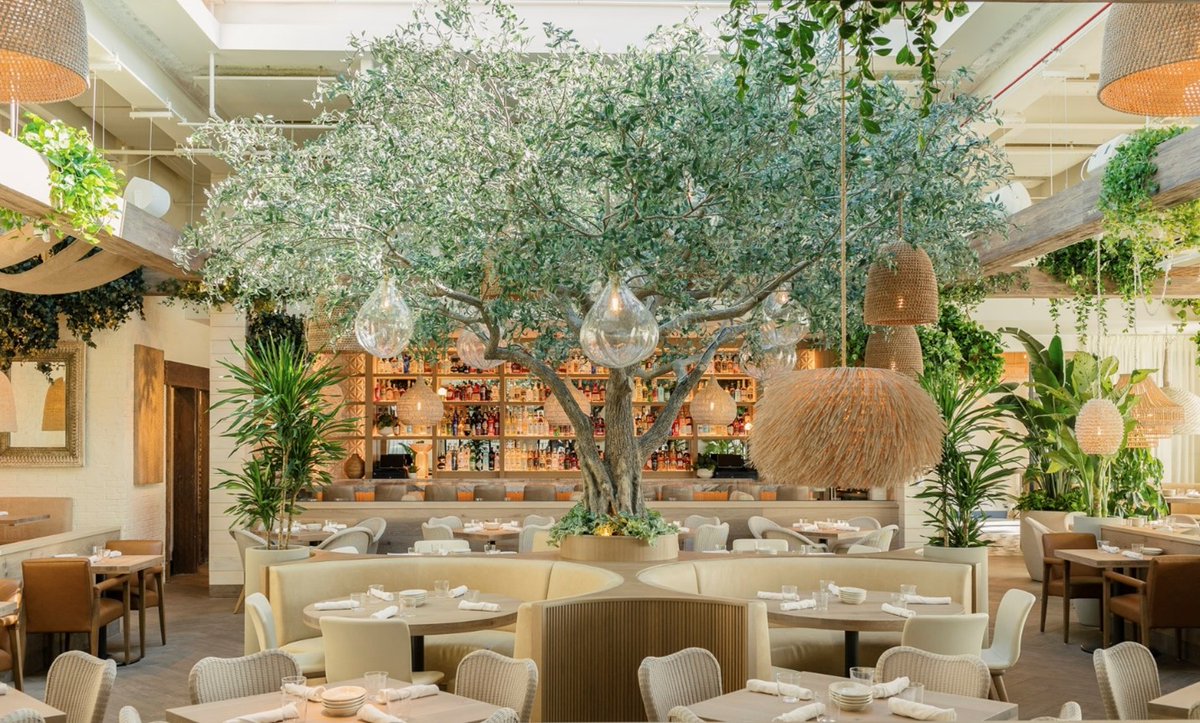 tgrwallc's tweet photo. Ema is now open! TGRWA was the Designer of Record for the new restaurant in Glenview, Illinois. It features a large skylight above the dining room and cantilevered steel and wood canopy.

We hope you check it out soon! https://t.co/LiuF27Xoyo