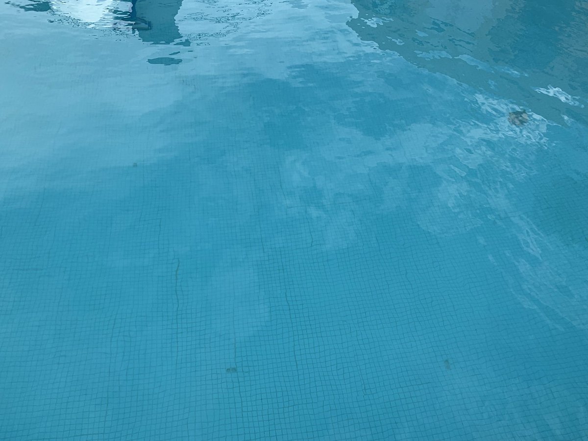 Hotel Los Delfines tweet media