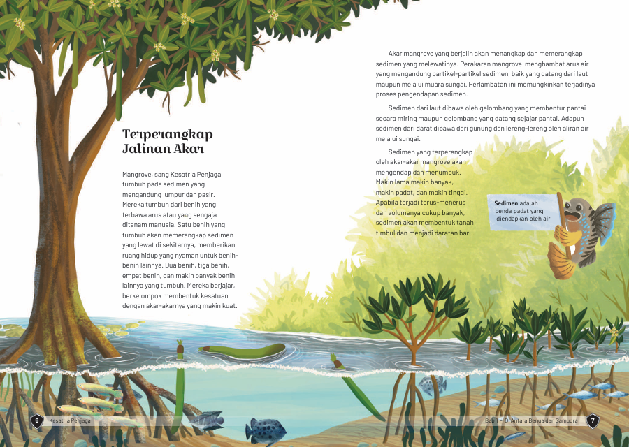 bibabercerita's tweet photo. Ada nih buku anak gratis, bebas dicetak, full ilustrasi 80-an halaman dan isinya pengetahuan bagus soal mangrove.

Judulnya "Kesatria Penjaga"
Ada akademisi dari bidang kelautan sampai biologi juga dalam pelaku perbukuannya, dan tentunya pake daftar pustaka, guys, wkwk.

Jadi kenapa mangrove bisa punya kekuatan memperlambat ombak?

Akar-akar mangrove yang saling berjalin bertindak seperti jaring alami yang bisa melambatkan arus air. Akar ini juga bisa menangkap sedimen yang terbawa arus laut maupun sungai, mengendapkannya, terus bisa sampai membentuk daratan baru. Keren kan jadi gak abrasi?

Kerimbunan pohon mangrove juga membantu memecah angin laut yang kencang, sehingga kekuatannya berkurang sampai 75-85%.🌱🌊