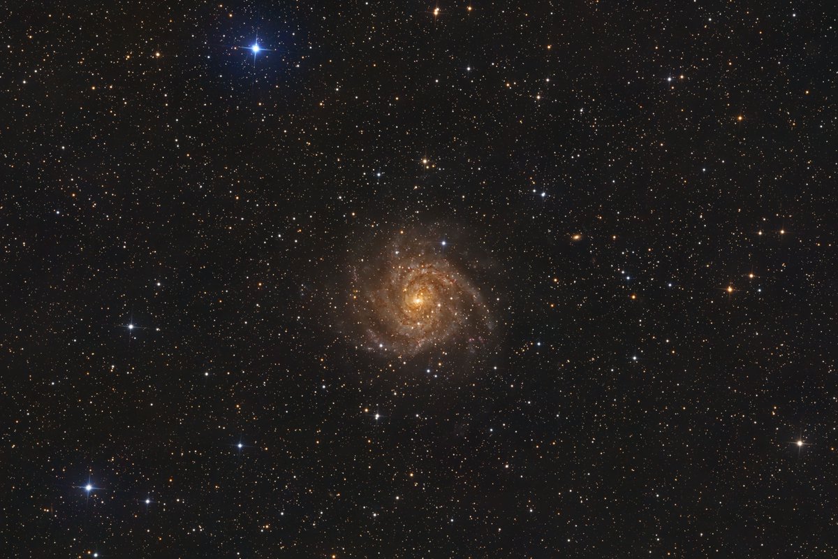 This beautiful image of IC 342 was taken by group member <a href="/skarba/">richard dvorchak</a>
Discovered in 1892 IC 342 (a.k.a. "Hidden Galaxy") is an intermediate galaxy located in Camelopardalis. It appears red because of the dust between us. Star Party link in Bio!