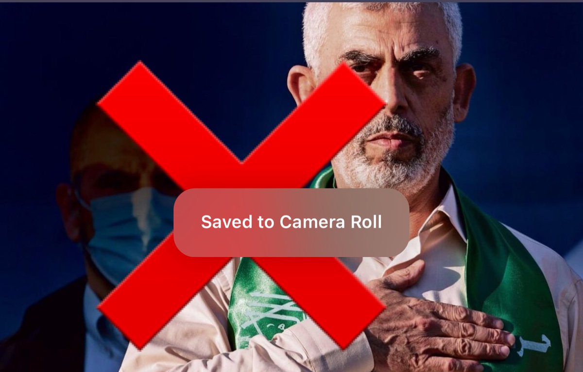 Avia Levi tweet media