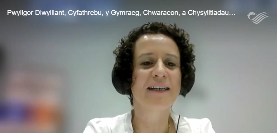 Ymunodd ein Prif Weithredwr, Helgard Krause, â Phwyllgor Diwylliant y Senedd, <a href="/SeneddDiwyllCRh/">Senedd Diwylliant</a>, heddiw i gyflwyno tystiolaeth ar effaith gostyngiadau cyllid ar y sector gyhoeddi a rhannu’r heriau a chyfleoedd i’n diwydiant. 

Diolch i'r Pwyllgor am y cyfle.