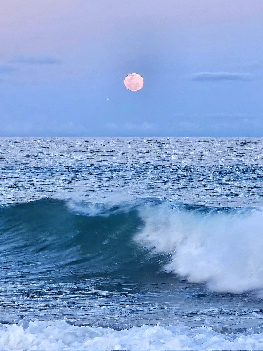 DianaWaines's tweet photo. Take the day, but leave me the moon https://t.co/F7N2obPZ5C