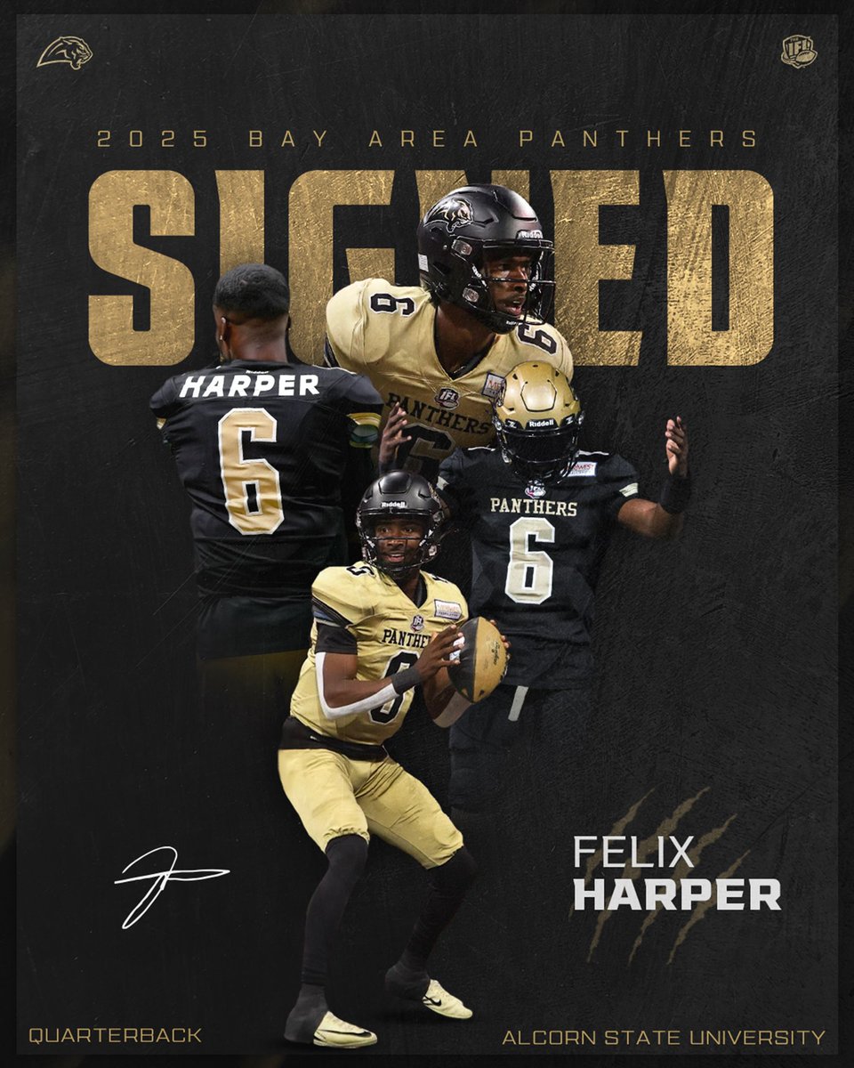 Bay Area Panthers tweet media