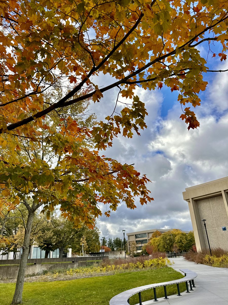 sunyoswego's tweet photo. Fall is in full swing on campus! 🍂💛 

#SUNYOswego #LifeAtOswego https://t.co/K9ZHDpb0Mk