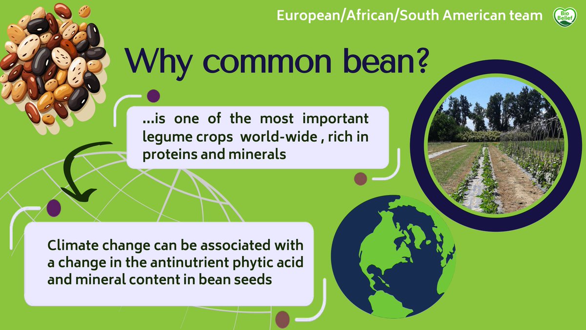 Bio Belief tweet media