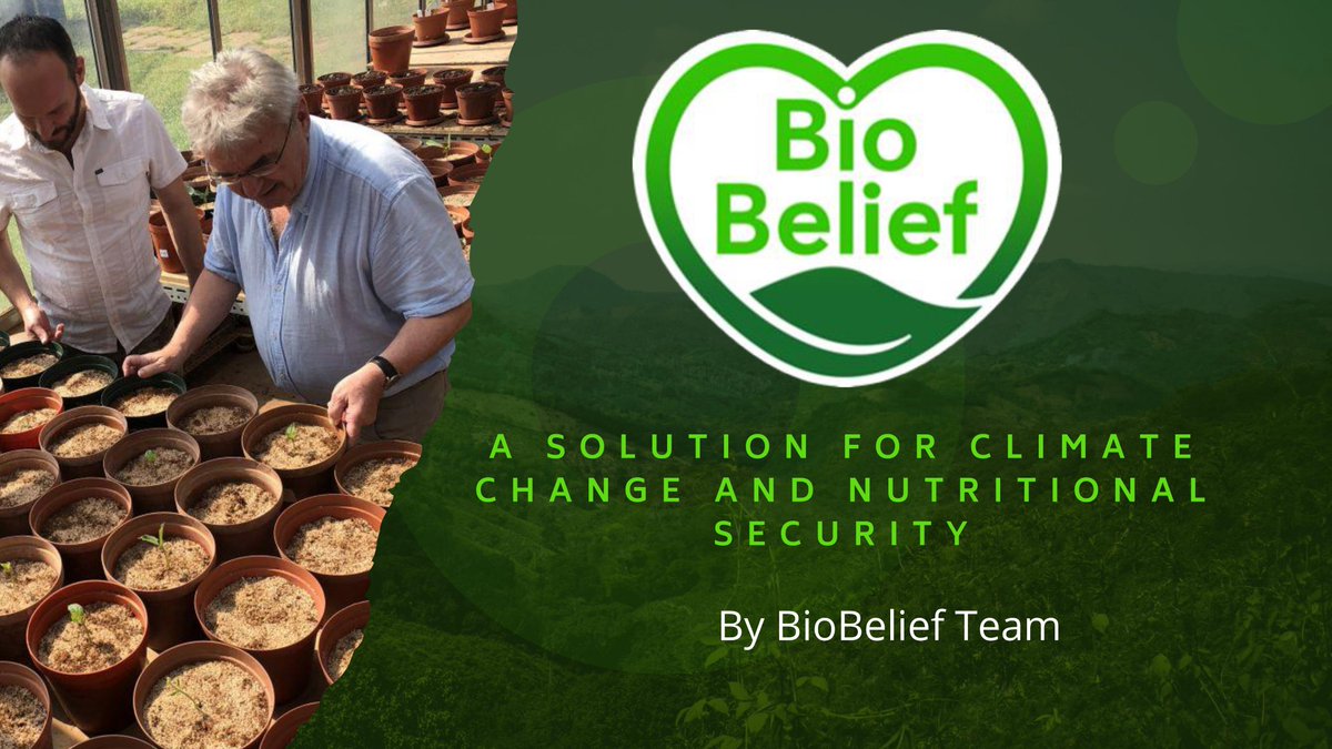 Bio Belief tweet media