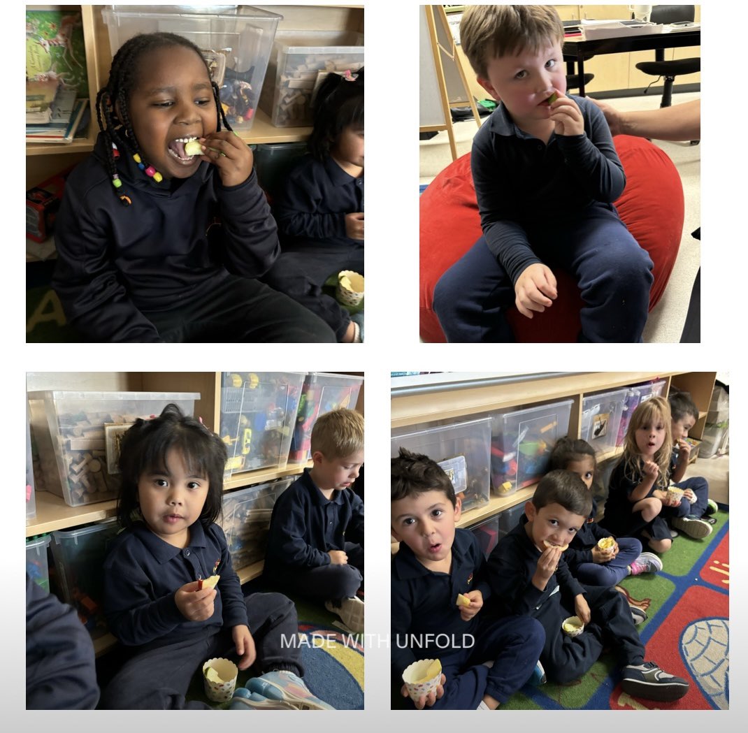 mskurnikk's tweet photo. Apple day was a huge success 🍎 We held a taste test to find our favourite apple flavour and graphed our results. After the students were able to conduct their own surveys to find out their peers favourite 🍏 🍎  @ms_garcia88 @stpetersmilton https://t.co/4oIwSOTLfi