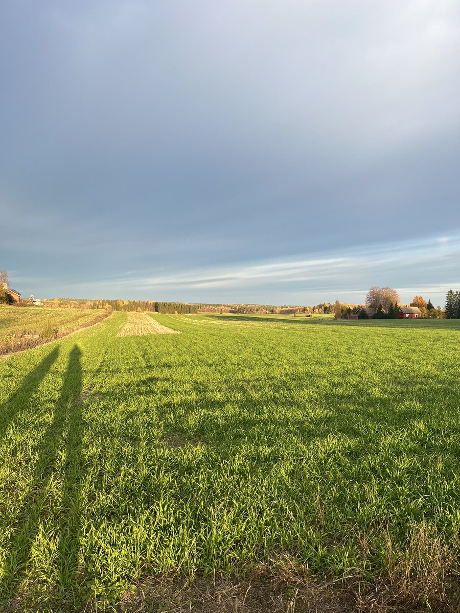 Iltalenkkimaisemat antaa hyvää mieltä ja energiaa 👌
#elämäämaaseudulla