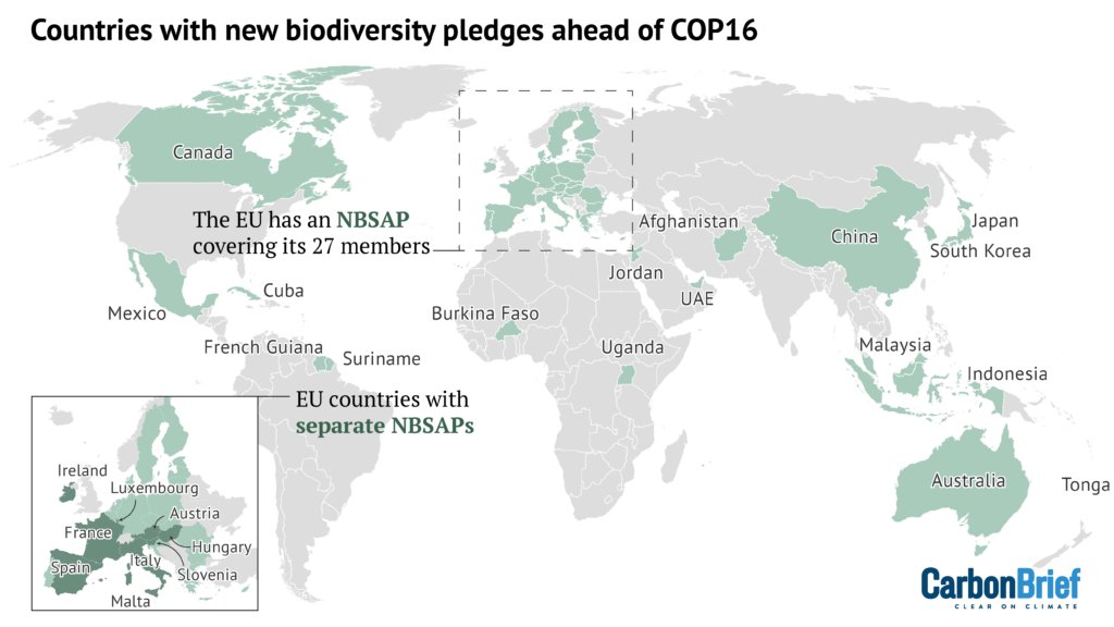 85% of countries are set to miss the deadline to submit new nature pledges ahead of the #COP16  biodiversity summit

Just 25 countries &amp; the EU have published an NBSAP - National Biodiversity Strategy &amp; Action Plan

170 countries have not 
carbonbrief.org/cop16-countrie…