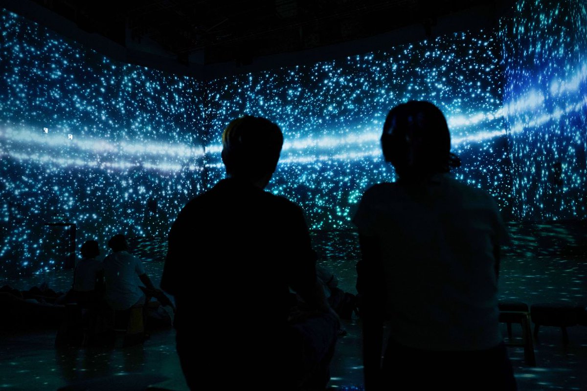 Parse/Error tweet media