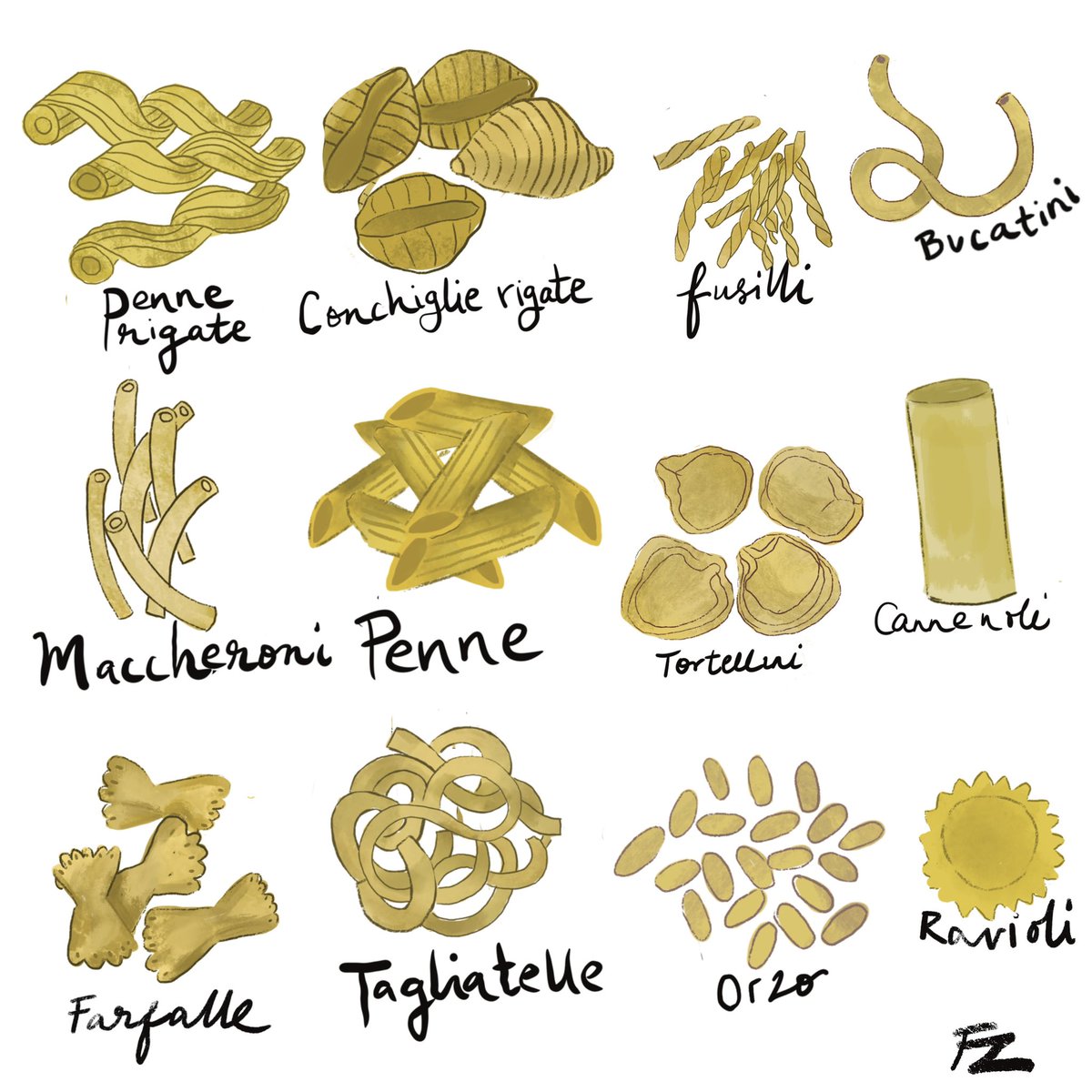 Todays prompt with @theydrawandcook is PASTA SHAPES 
Always fun to draw these fun shapes! 
.
.
.
#illustration #illustrationartists #illustrationart #cookbookillustration #drawtober #drawtober2024 #foodillustration #theydrawandcook
