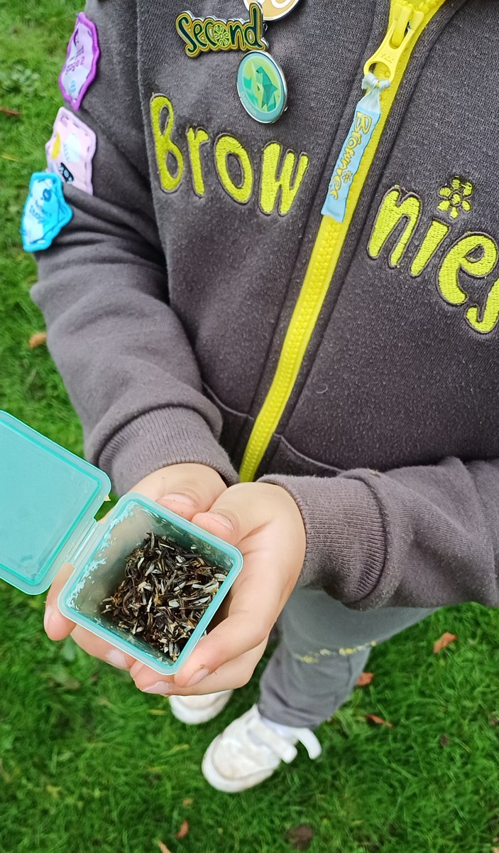 Roots for the Future CIC tweet media