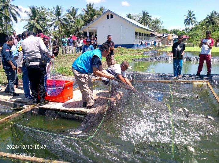 Abil_Ibil's tweet photo. Minggu/13/24,Abdul Yusup Tiapon,Luhkan Kab Halmahera Tengah, dengan kelompok Budidaya ikan Salfa Berkah Desa Wairoro indah, panen Perdana ikan nila 300 kg  #GiatLuhkanSatminkalAmbon
#LuhLapor #Halteng @BP3_Ambon https://t.co/hylcwNZimU