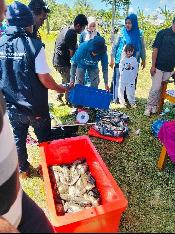 Abil_Ibil's tweet photo. Minggu/13/24,Abdul Yusup Tiapon,Luhkan Kab Halmahera Tengah, dengan kelompok Budidaya ikan Salfa Berkah Desa Wairoro indah, panen Perdana ikan nila 300 kg  #GiatLuhkanSatminkalAmbon
#LuhLapor #Halteng @BP3_Ambon https://t.co/hylcwNZimU