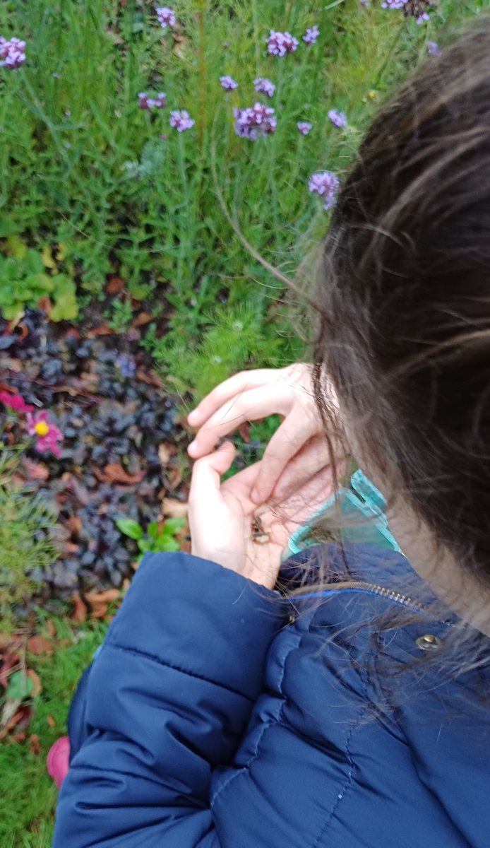 Roots for the Future CIC tweet media