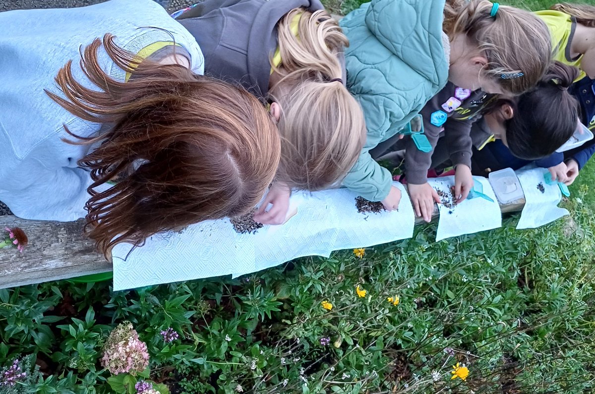 Roots for the Future CIC tweet media