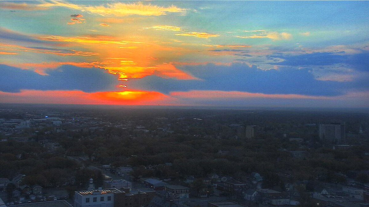 Chris Arden Haynes tweet media