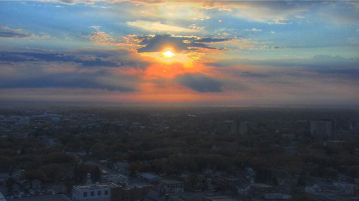 Chris Arden Haynes tweet media