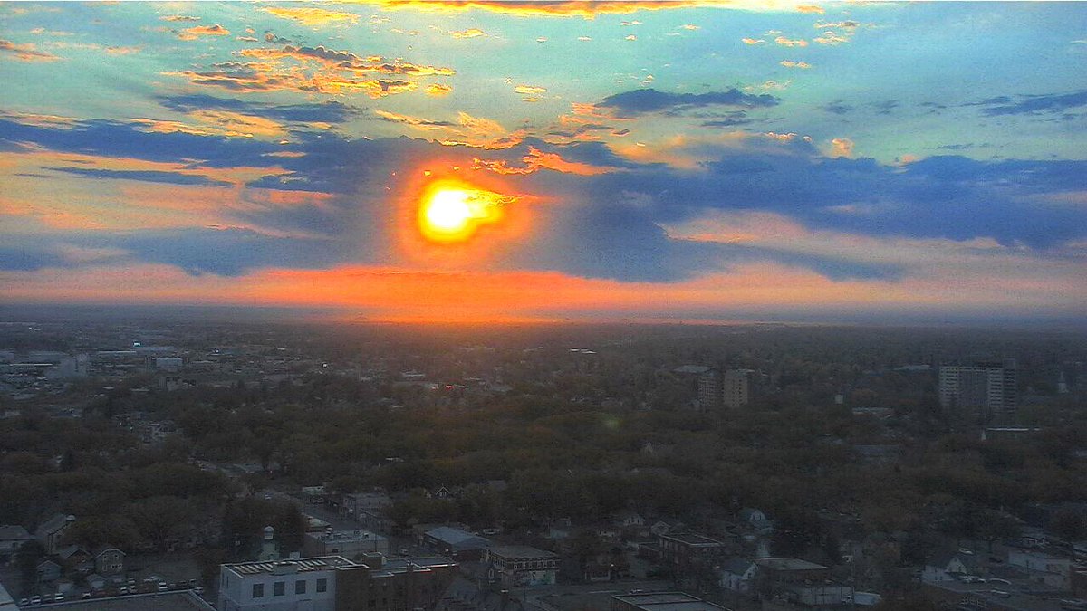 Chris Arden Haynes tweet media