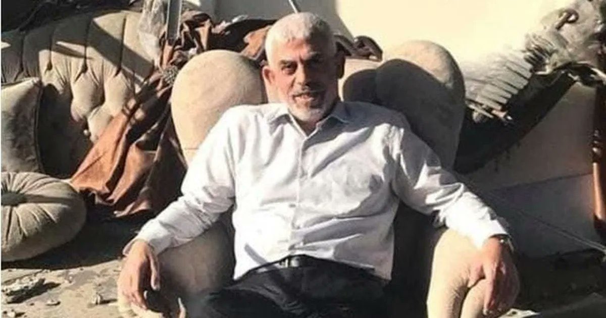 kenanothman8's tweet photo. يا خادِمَ الإِسلامِ أَجرُ مُجاهِدٍ في اللَهِ مِن خُلدٍ وَمِن رِضوانِ
الناسُ غادٍ في الشَقاءِ وَرائِحٌ يَشقى لَهُ الرُحَماءُ وَهوَ الهاني
وَرَأَيتُ كَيفَ تَموتُ آسادُ الشَرى وَعَرَفتُ كَيفَ مَصارِعُ الشُجعانِ

إلى رحمة الله أبا ابراهيم مقاتلاً مشتبكاً مُقبلًا غير مدبر https://t.co/u9eExcLq5X
