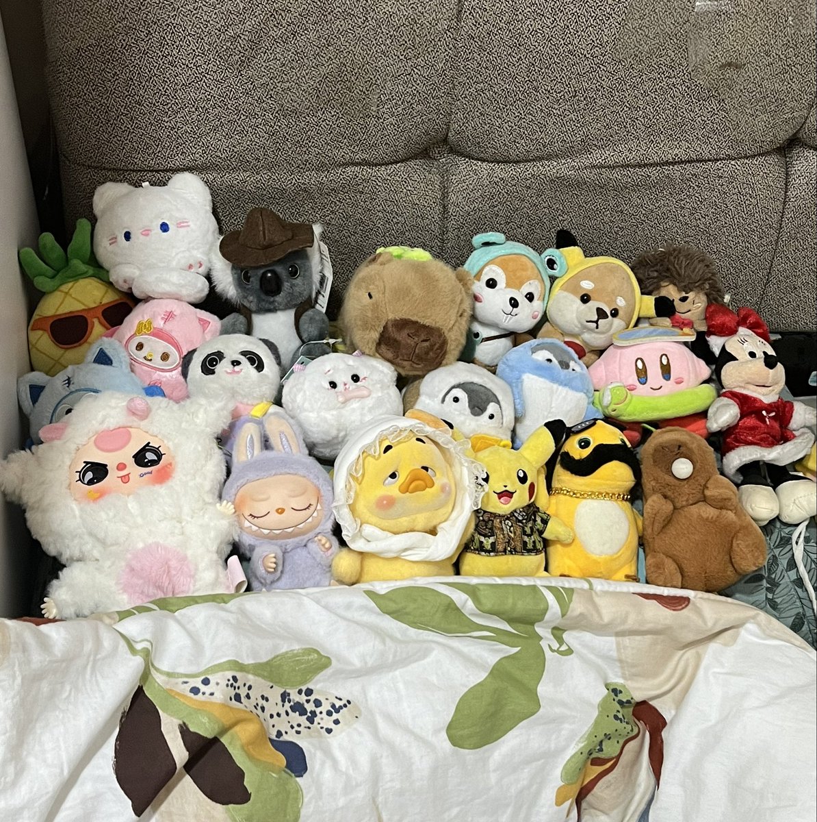 gudnaid guis😴🌙💋