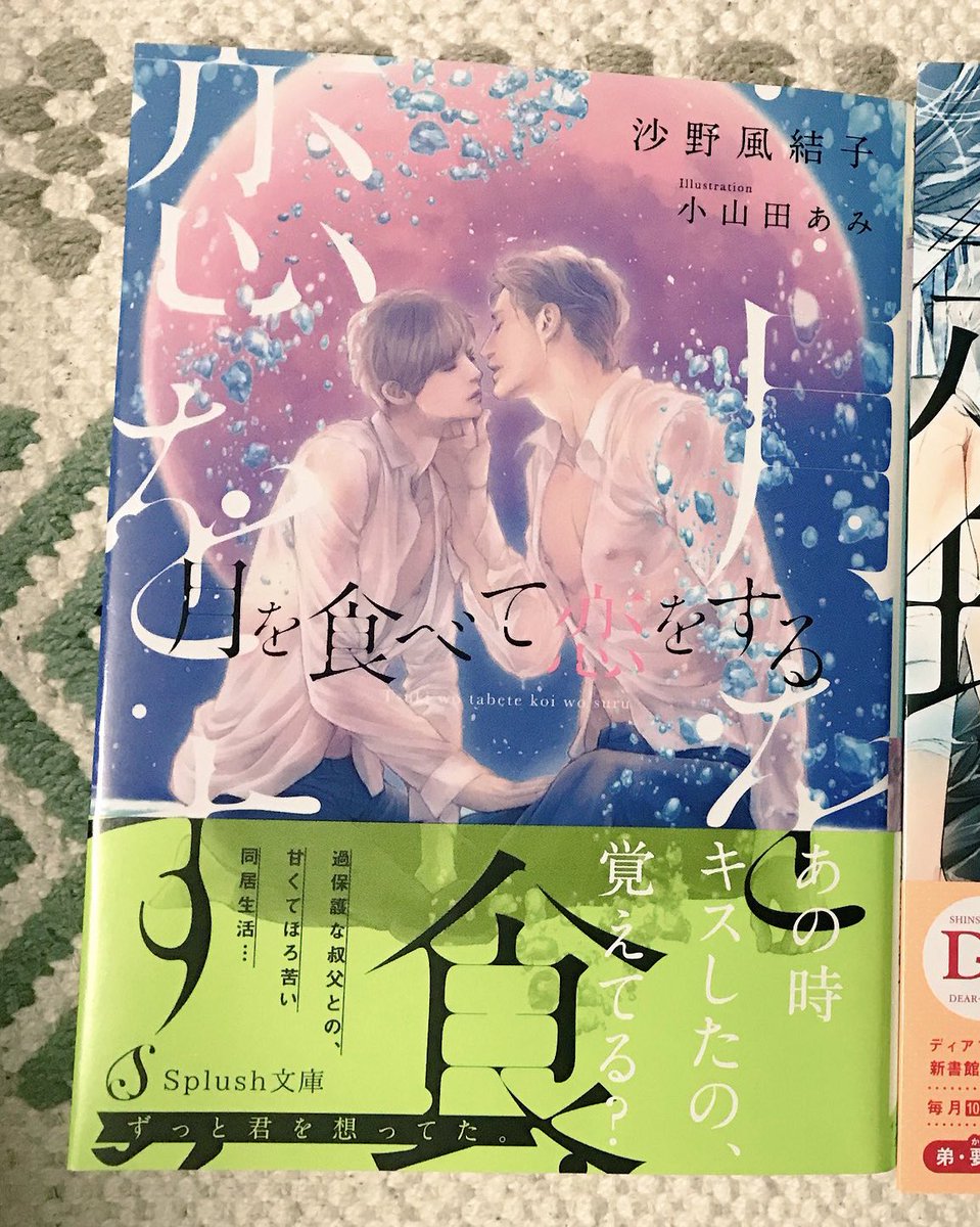 月といえばこちらの作品が大好きです🌖
スリリングな物語に、表紙の美麗さもとてもすてきです✨

 #BL小説応援し隊 