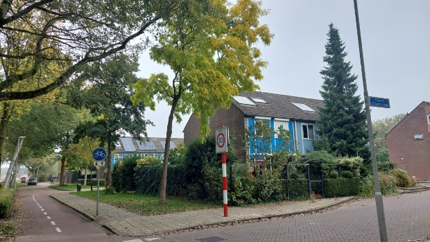 Ruim 260 nieuwe bomen in Goese Polder -  internetbode.nl/beveland/l/430…