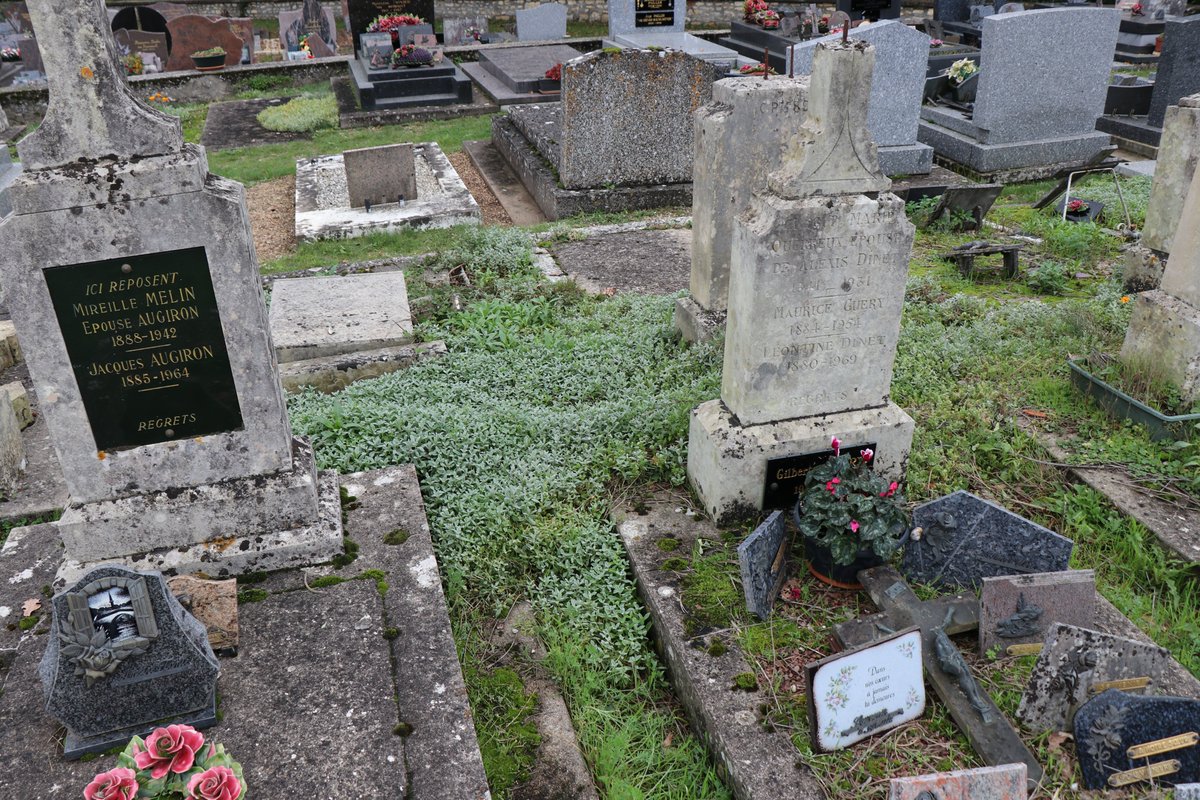 Retour📸sur la formation "Végétalisons nos cimetières" à #Vouillé où élus et techniciens de la #Vienne86 ont pu échanger leurs bonnes pratiques sur ces #espacespublics
La flore🌱🌼 ne doit plus être une contrainte dans ces lieux sensibles et devenir au contraire un atout.