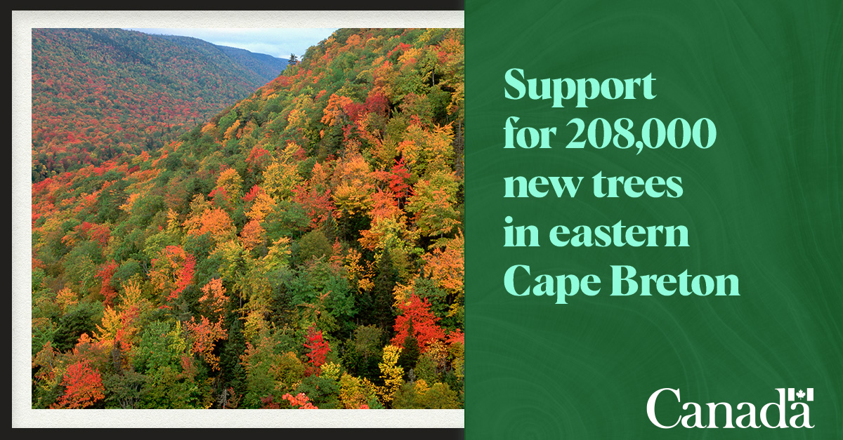 NRCan's tweet photo. Today, we announced a joint investment of over $1.2M to plant over 208,000 trees in eastern Cape Breton, Nova Scotia. These trees will restore ecosystems in areas that had been deforested.

Learn more: https://t.co/WPw9BVzdSx

#2BillionTrees https://t.co/aYC7CuG59k