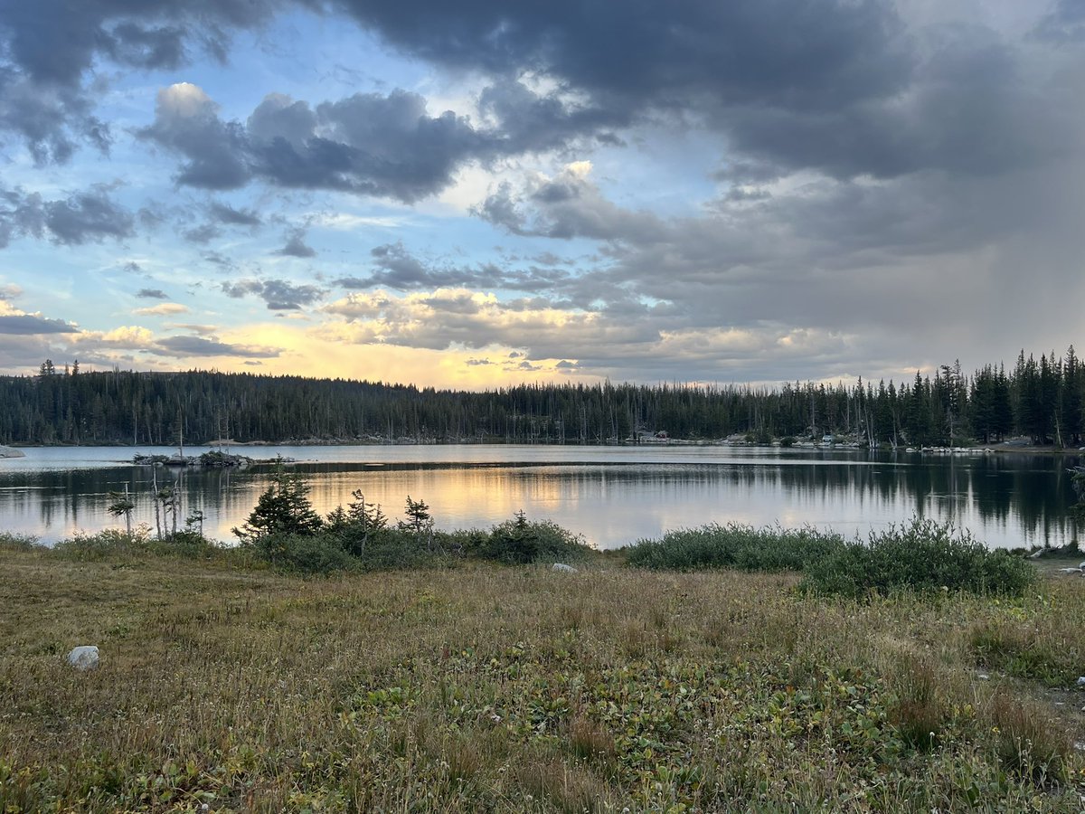 I’m reviewing applications this fall for our psychology &amp; law PhD program — if you are interested in examining biases in legal decision making (e.g., among jurors, forensic analysts) please consider applying!