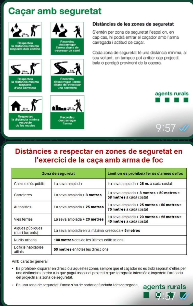 ||☆|| Eugènia🐜 tweet media