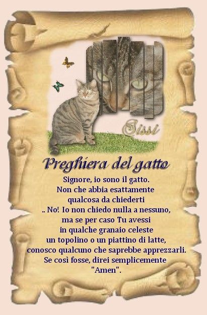 RobyMcRoney's tweet photo. @doluccia16 🙏 https://t.co/s86U1iVjnd