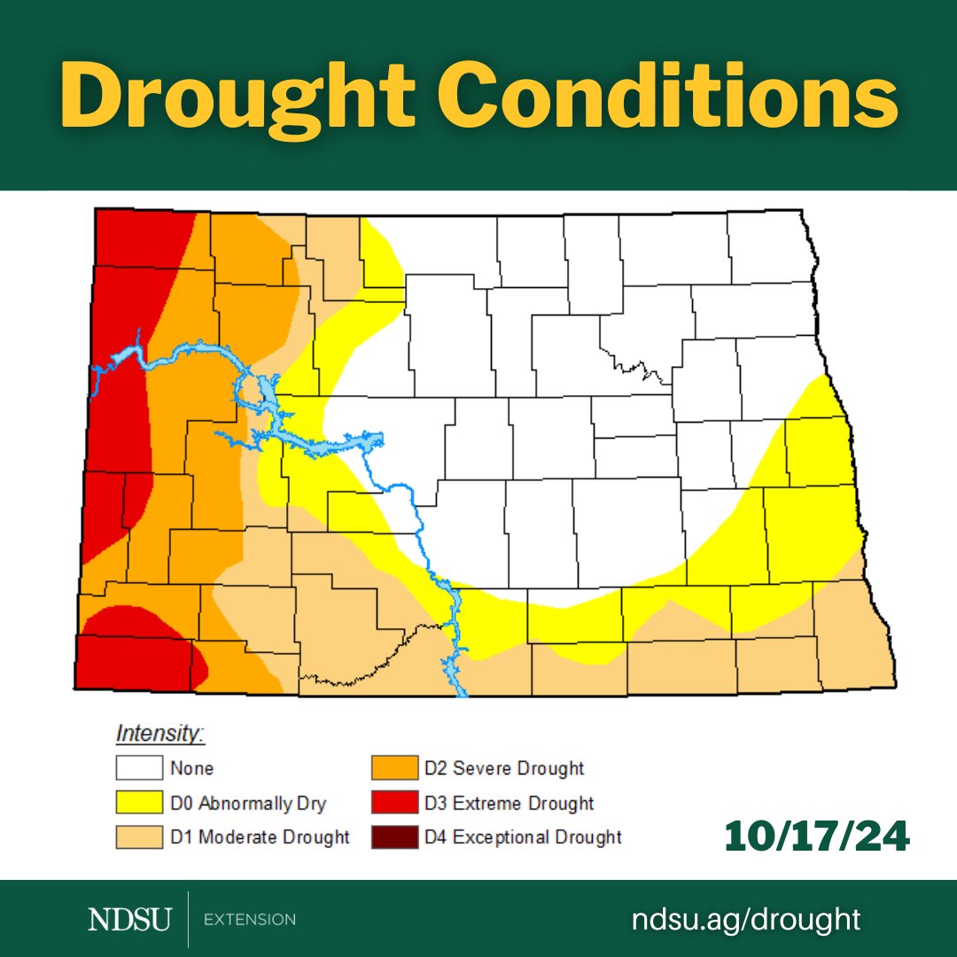 Drought conditions continue to worsen. ndsu.edu/agriculture/ag…

Report impacts and current conditions >>>   ndsu.edu/agriculture/ex…