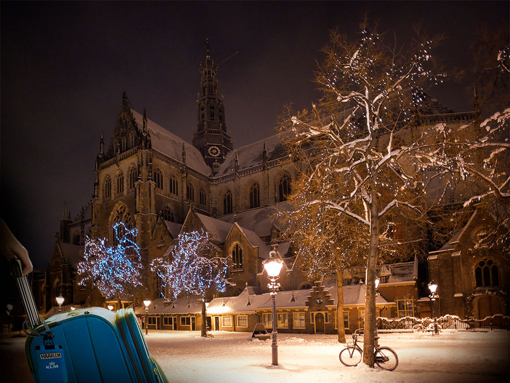 Vuela a Ámsterdam y visita del 13 al 15 de diciembre, el centro de Haarlem ¡el mercado navideño más acogedor de los Países Bajos!
visithaarlem.com/en/kerstmarkt/