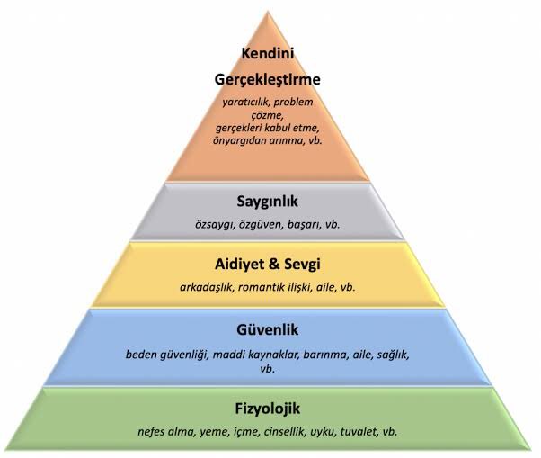 Maslow'un ihtiyaçlar hiyerarşisinde kendinizi hangi basamakta görüyorsunuz ?