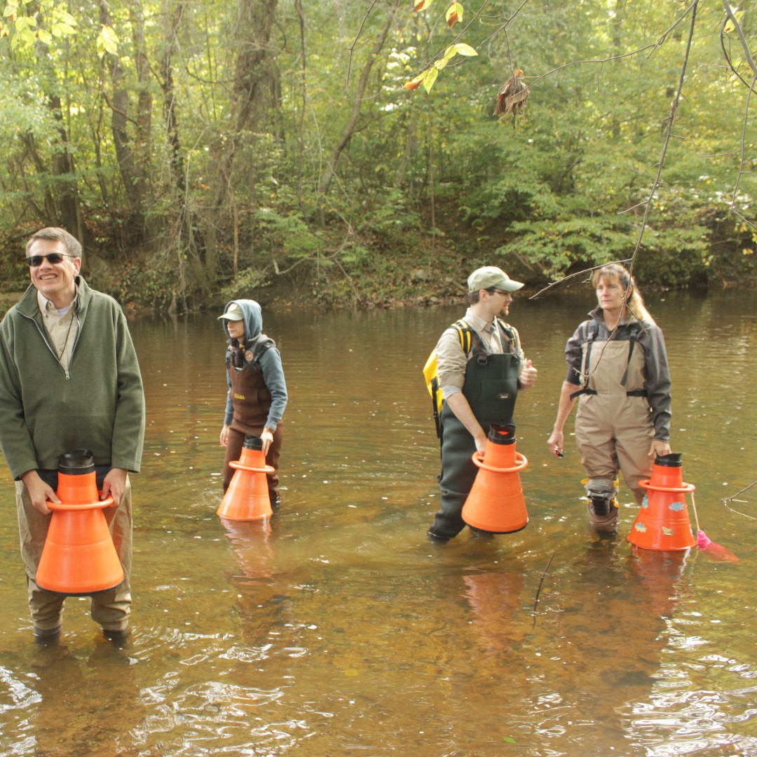 Chesapeake Bay Foundation tweet media