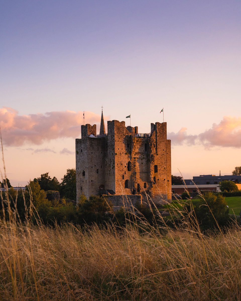 Discover Ireland tweet media