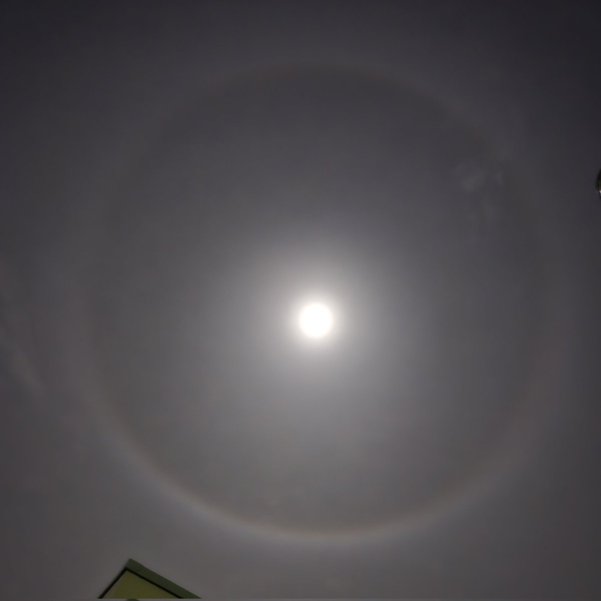 スーパームーン🌕
月のまわりの光の環が見られた