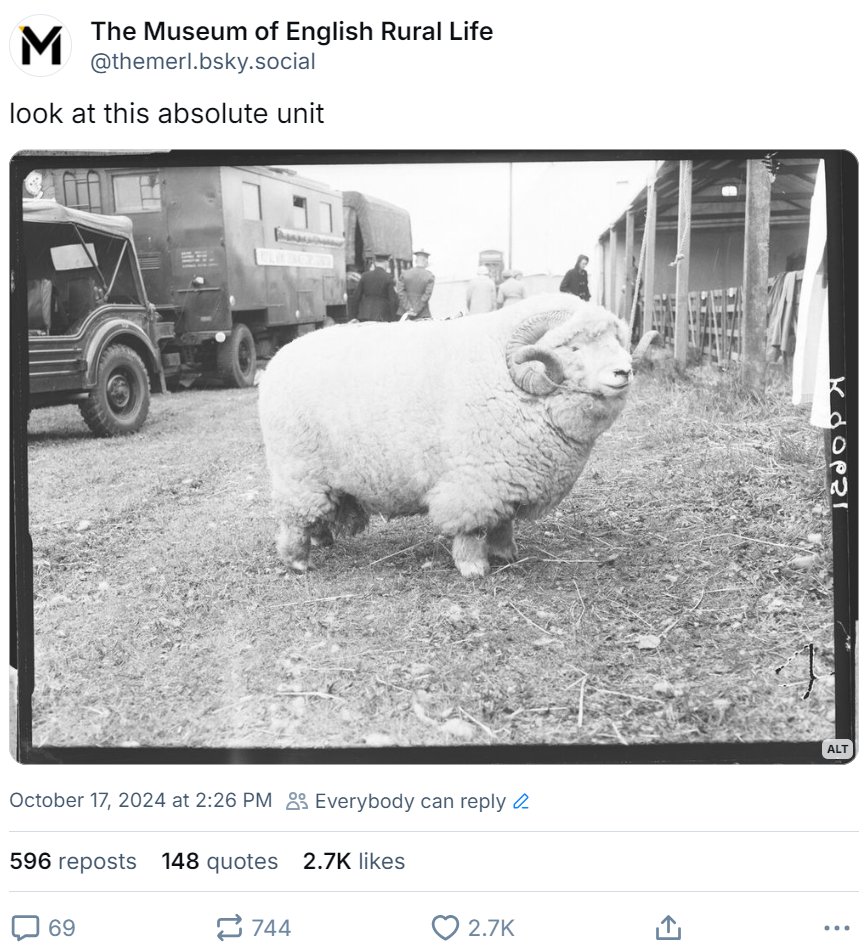 TheMERL's tweet photo. history is doomed to repeat itself (in a good way) https://t.co/55iwj7m08t