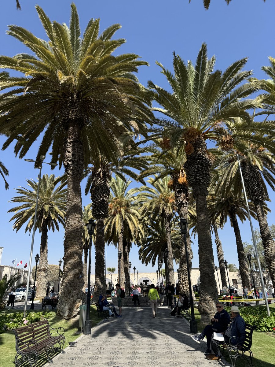 RachelSammut2's tweet photo. A beautiful morning in Arequipa, Peru for Day 1 of the @cladeaorg 59th International Congress! 

Very much looking forward to a day of inspiring talks and networking with new friends from around the world! 🇵🇪

@BradManagement @UniofBradford @vweerakk @AmizanOmar https://t.co/kJBF4Tt6wz
