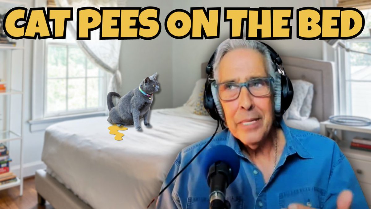 warreneckstein's tweet image. 🐾💔 ✨A healthy 6yo 🐱is suddenly avoiding the litter box &amp;amp; choosing the 🛏️sheets instead! 😱Warren dives into this puzzling behavior &amp;amp; explores possible causes—from psychological factors to territory issues.
 🎧🐾 #CatCare #LitterBoxSolutions #HappyCats youtu.be/fkpPVh2-t1c