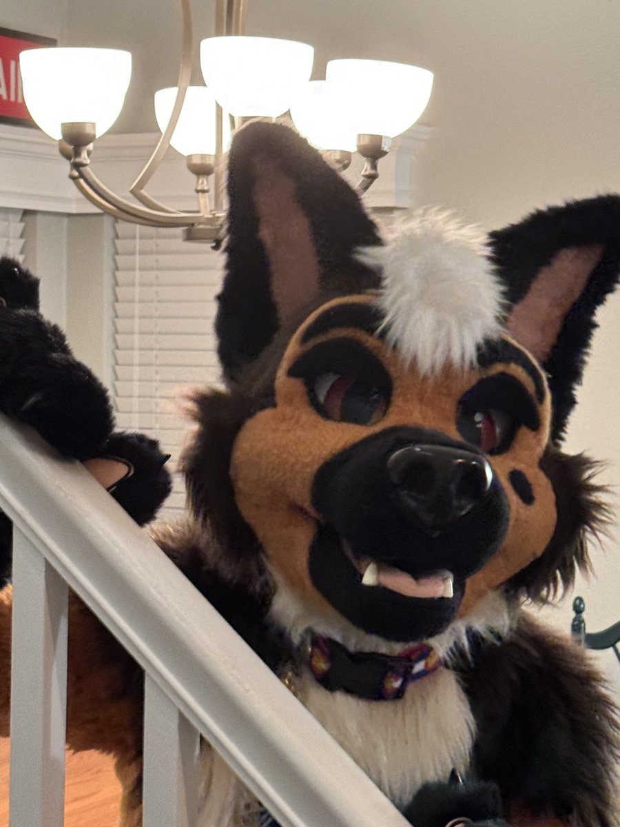 Malachi/Otto ❄️ 🎿 tweet media