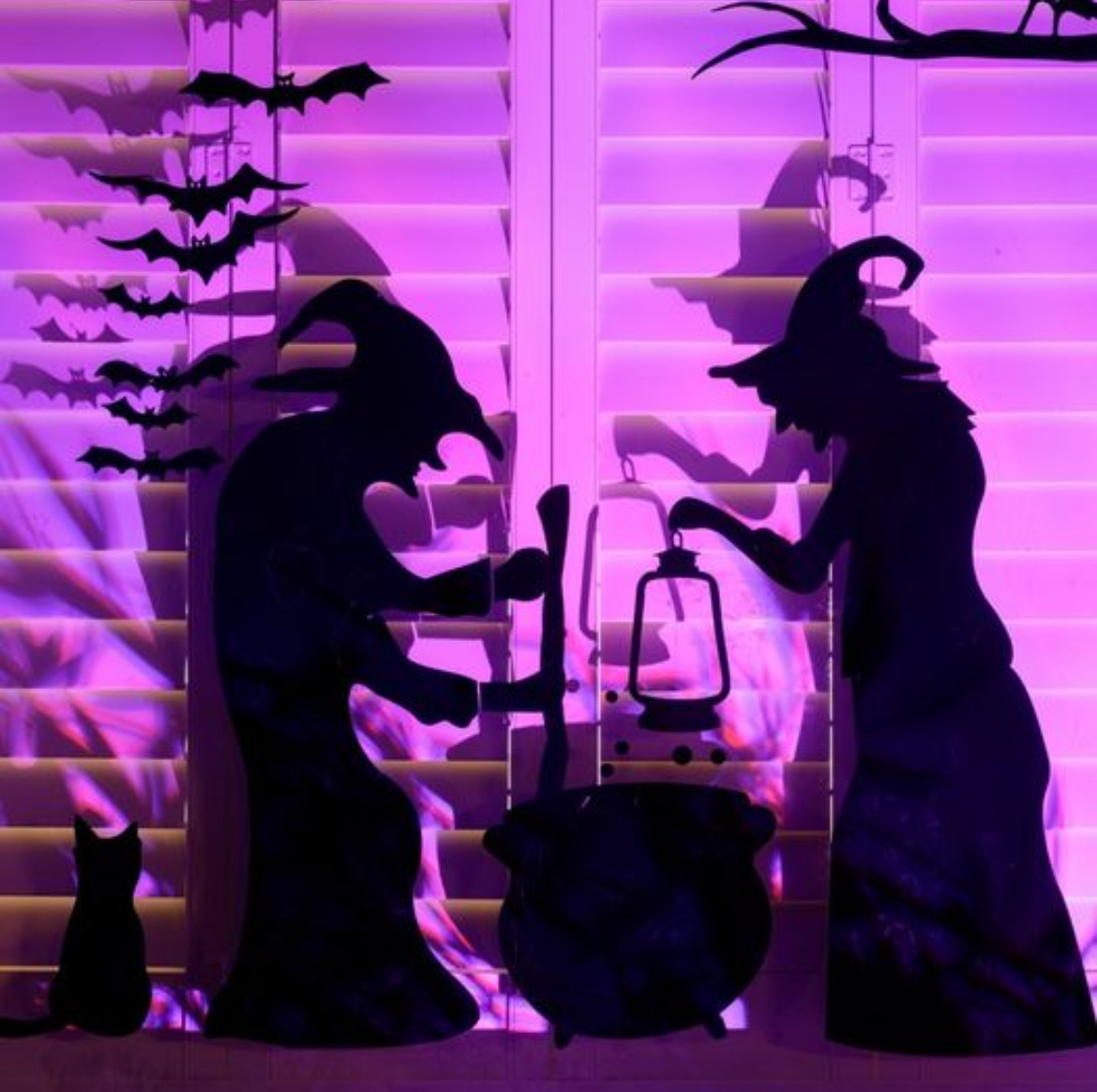 Direct_Blinds's tweet photo. Happy Halloween from Direct Blinds! 🎃

Send us your Halloween themed window setups 🧙

#HappyHalloween #Halloween #DirectBlinds #Cork https://t.co/AjCwkJiV9g
