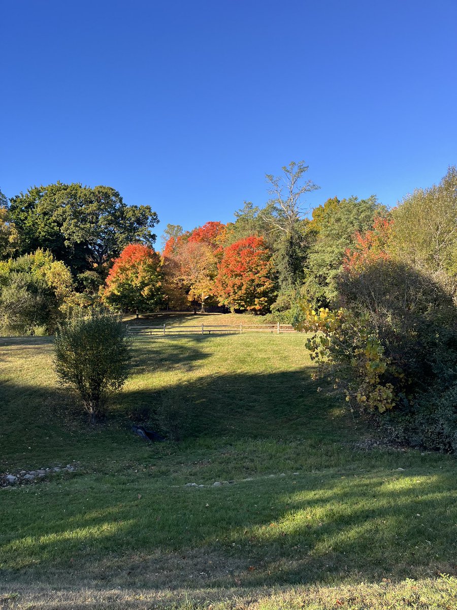 KaniaHannah's tweet photo. enjoyed talks this morning discussing TE domestication in hosts from humans to mice to drosophila! beautiful venue and inspiring speakers. #cshlTE24 @cshlmeetings https://t.co/zrzdrQJYA9